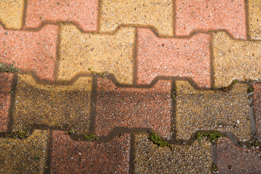 Brick pavers being pressure washed, showing a clean and dirty side with grime, dirt, and moss removal.