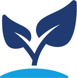 : Eco-friendly softwashing with plant-safe solutions