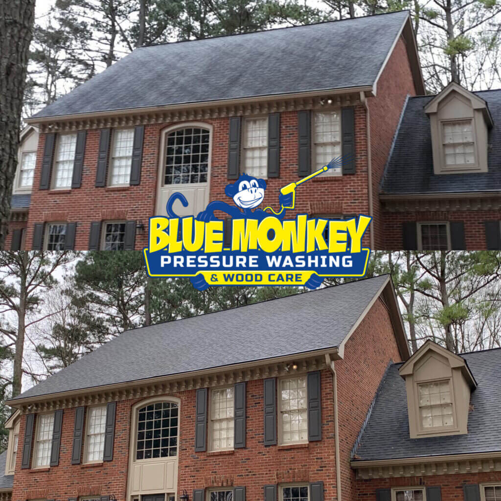 soft roof cleaning near me
roof pressure cleaning near me
rooftop cleaning services
tile roof cleaning near me
