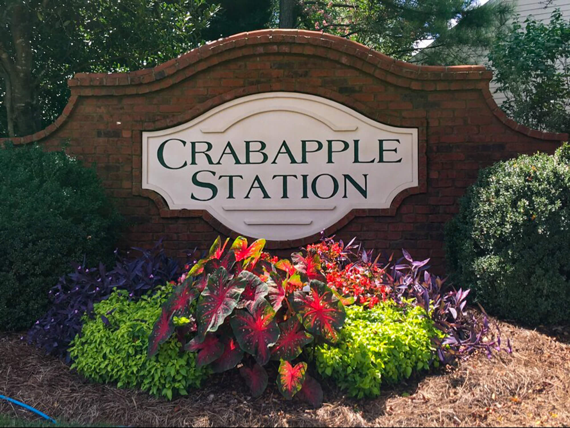 Cheap pressure washing near me service in action. Professional cleaning results for your neighborhood sign