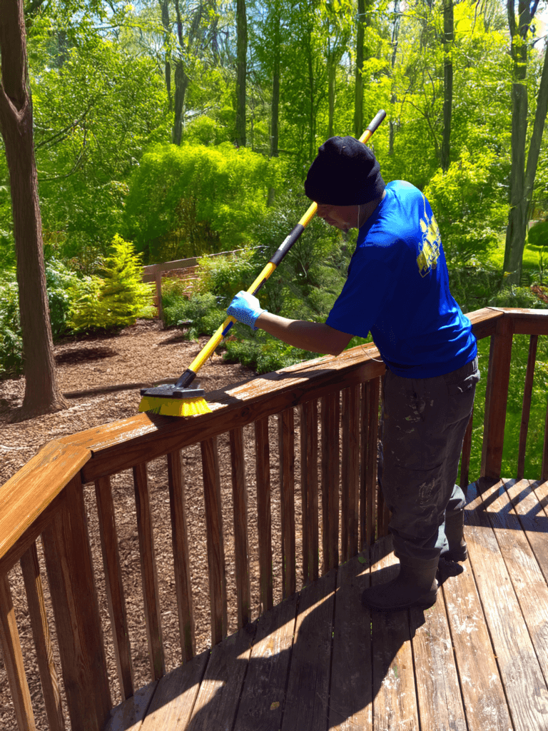 Expert Deck Staining & Restoration Services BY BLUE MONKEY - DECK WASHING, STAIN AND SEALING