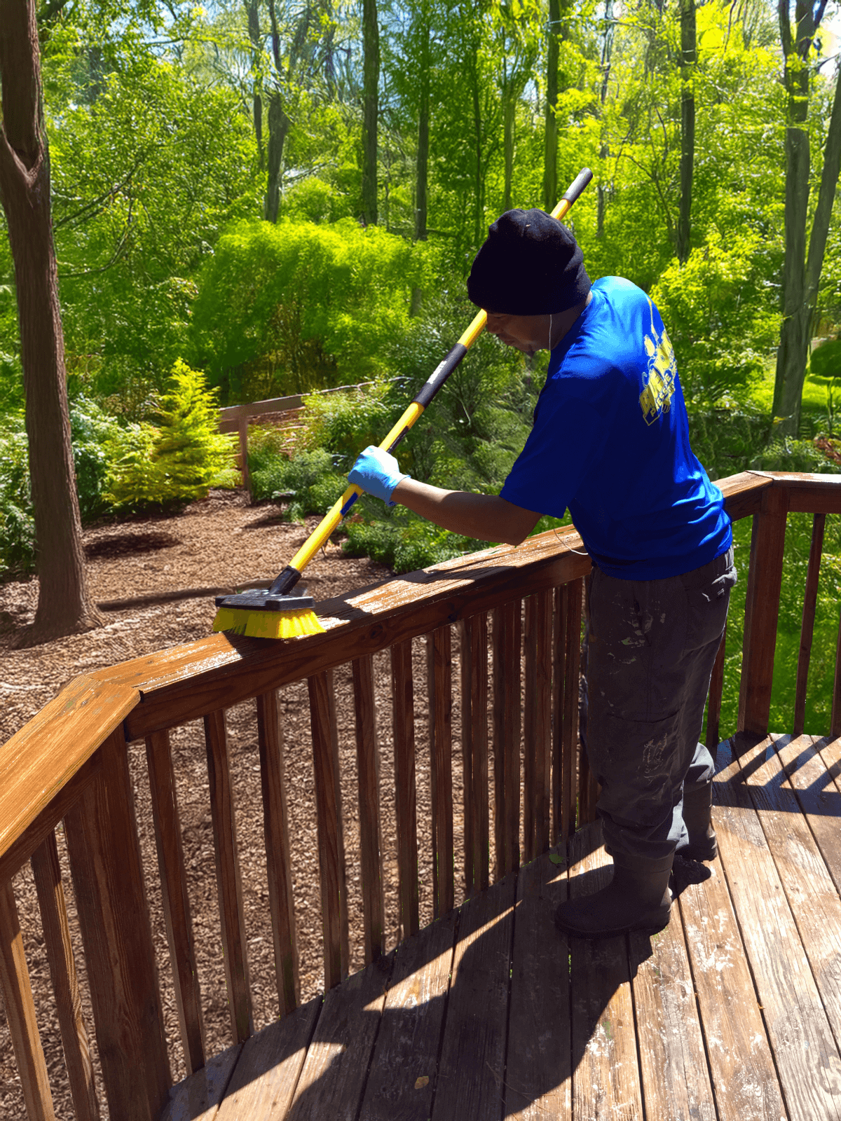 Expert Deck Staining & Restoration Services