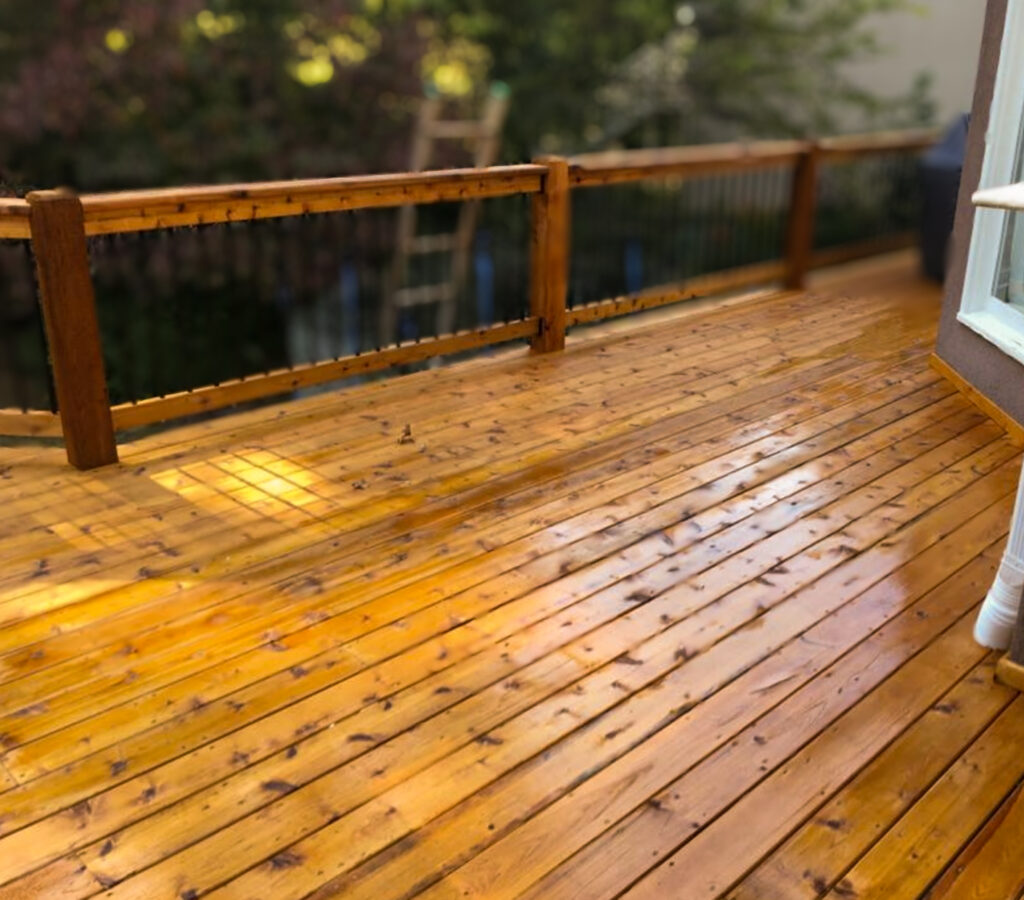 BLUE MONKEY PRESSURE WASHING AND WOOD CARE SERVICE PRICING - PRICE FOR DECK PRESSURE WASHING