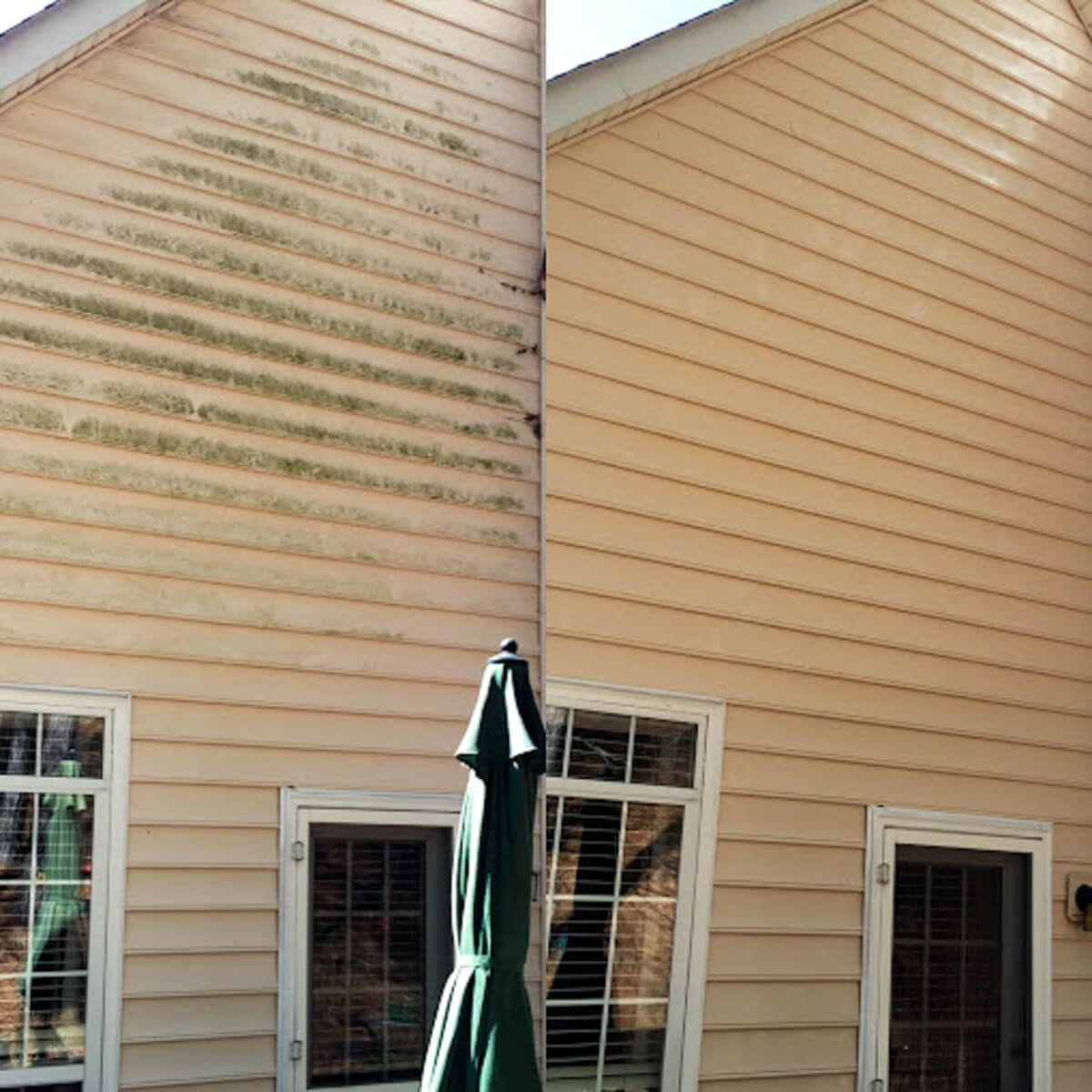 Before and after of a home’s vinyl siding covered in algae and mold, restored to a spotless finish with professional soft washing.