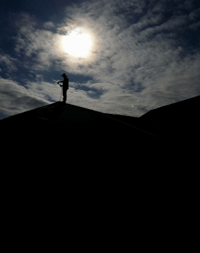 PROFESSIONAL ROOF PRESSURE WASHING AND STAIN REMOVAL SERVICE 