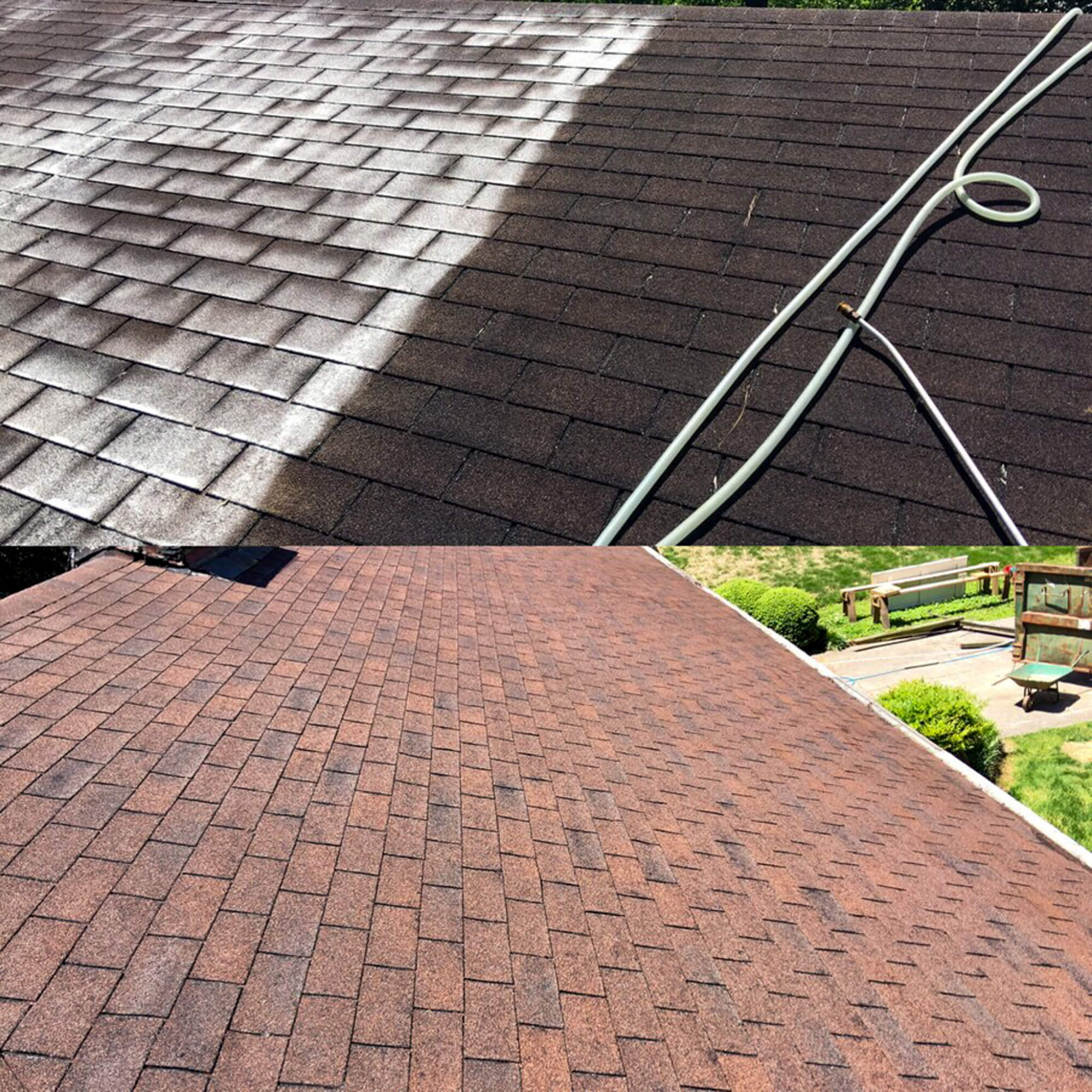 best roof cleaner
cleaning roof shingles
moss removal from roof
moss roof cleaning
pressure wash roof
roof algae remover


