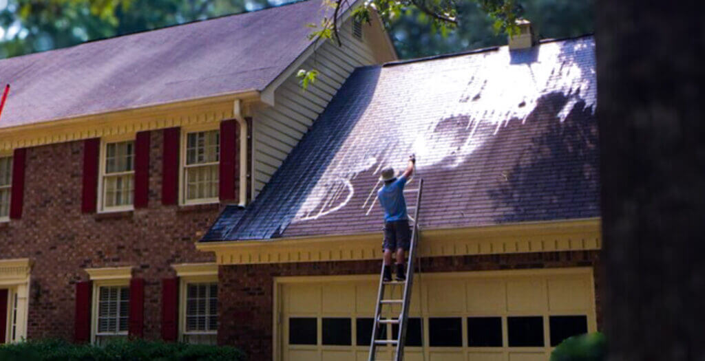 Expert Roof Cleaning & Stain Removal NEAR ME