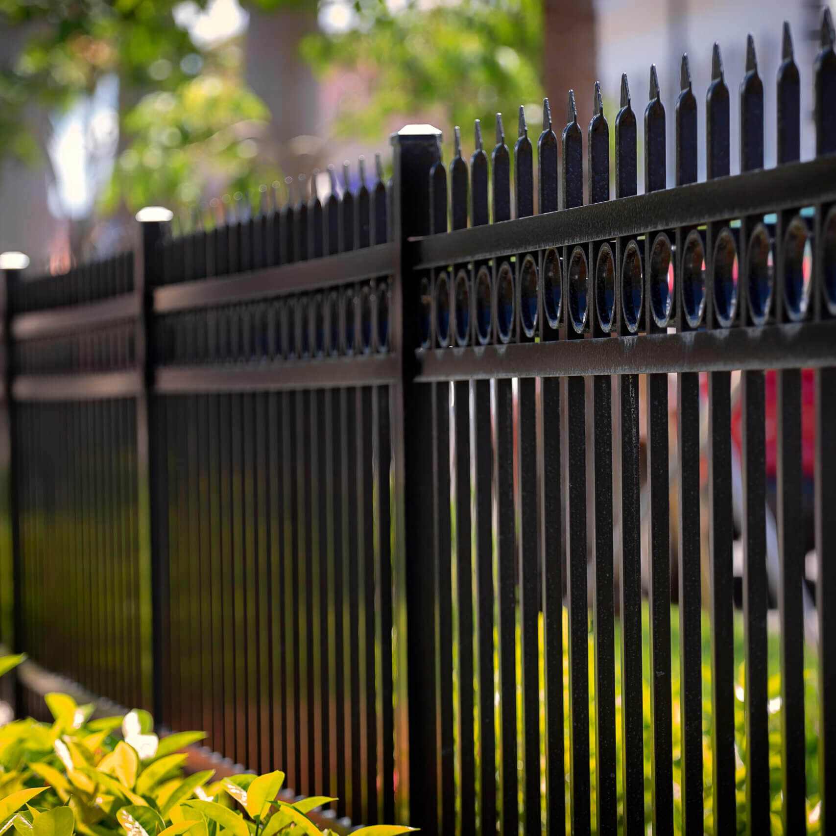Black wrought iron OR ALUMINUM fence with decorative accents in a landscaped yard.