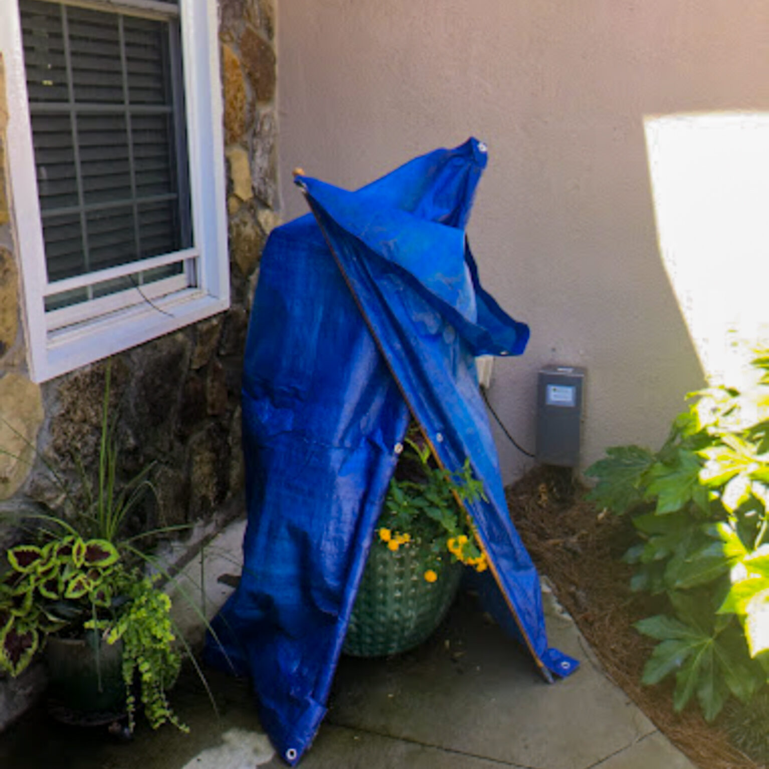 We also take extra precautions to protect any sensitive plants in your yard, ensuring they remain healthy and unharmed during our work.