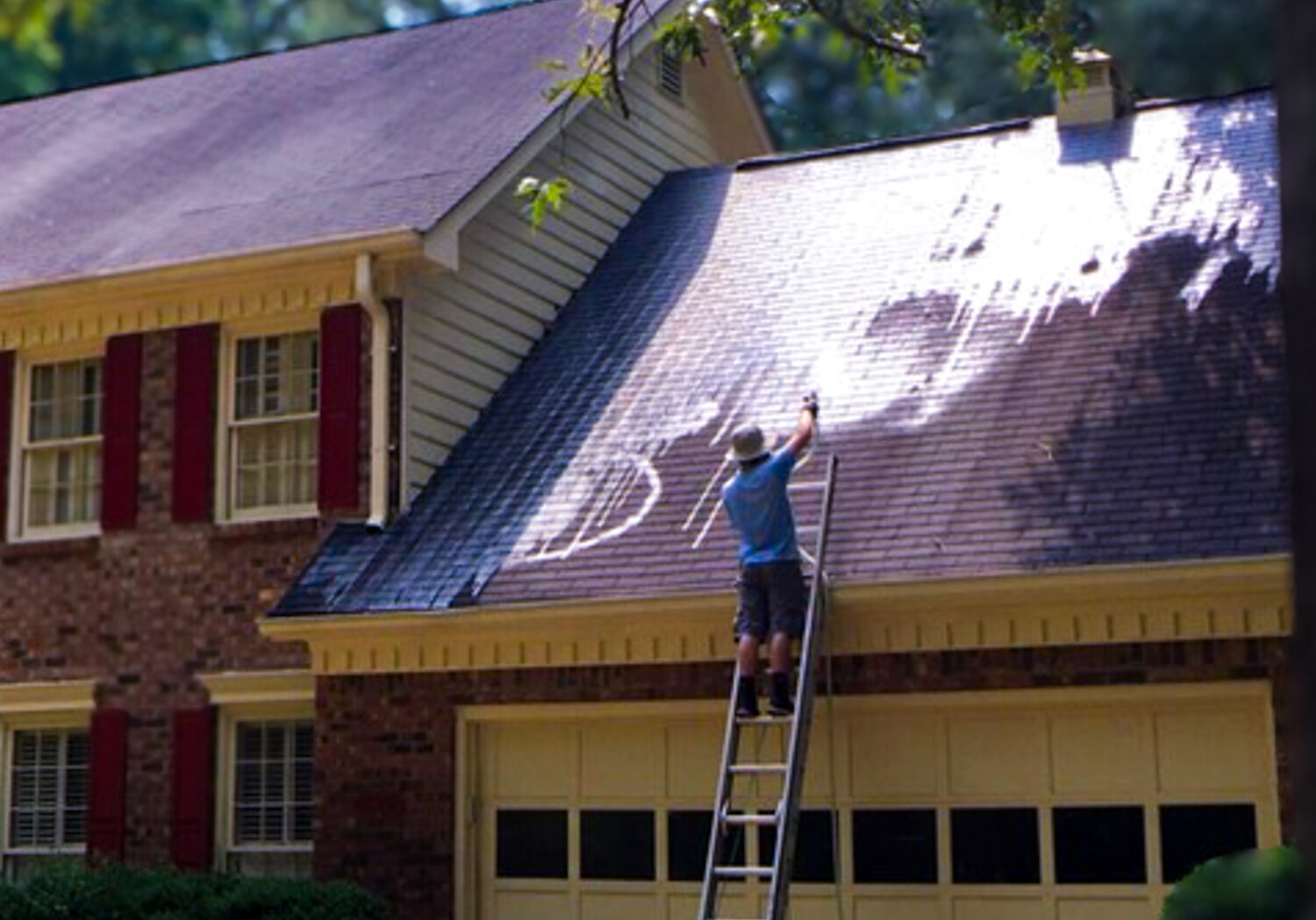 Expert Roof Cleaning & Stain Removal